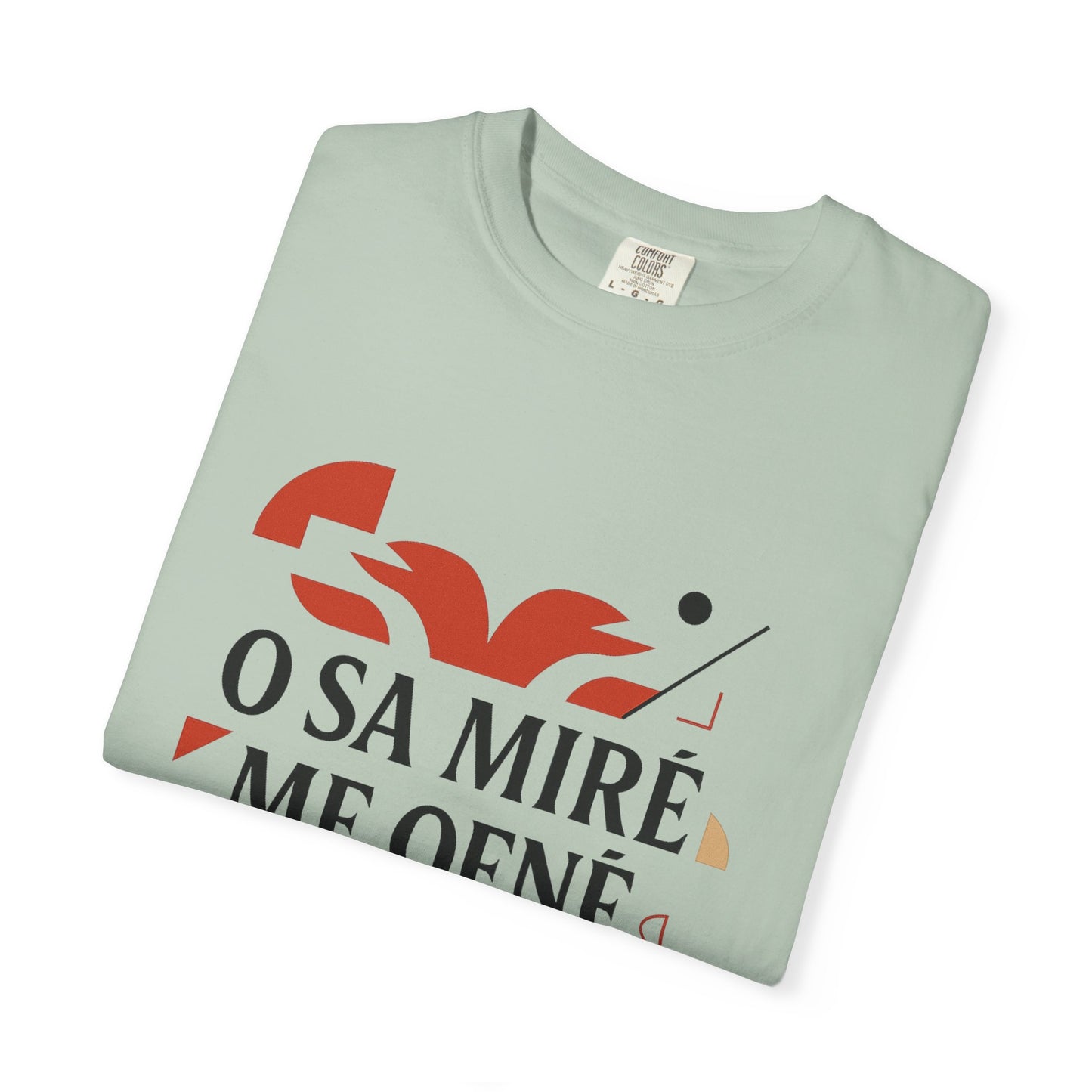 Albanian Pride T-Shirt, Unisex Tee, Kosovo Flag, Shqip Shirt, Gift for Albanians, Ethnic Albanian Apparel